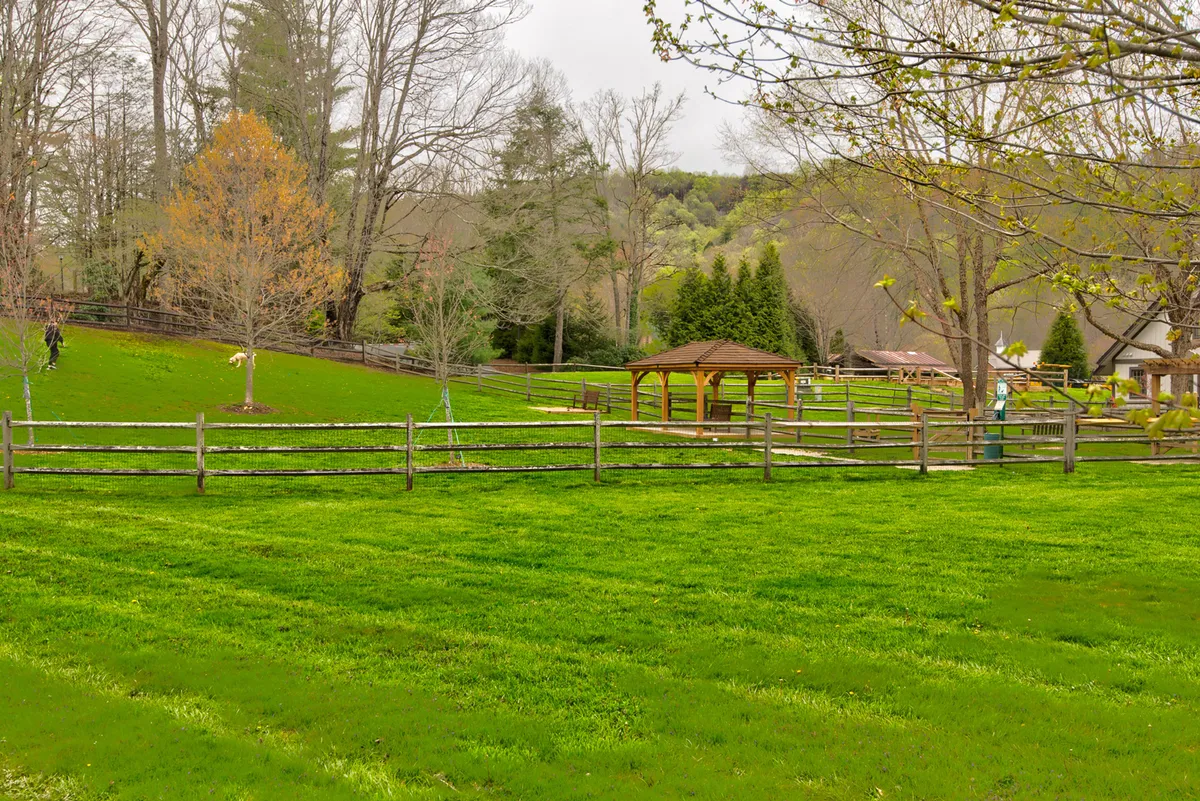 A calm and inviting outdoor space featuring a lush green lawn, a wooden gazebo, fenced area, and bare trees in the background. The scene invites outdoor gatherings, picnics, and moments of peaceful reflection in a natural setting.